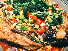 -马邦子·紫苏烤鱼(恒隆广场店)
