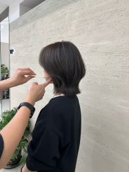-蚂蚁造型俱乐部