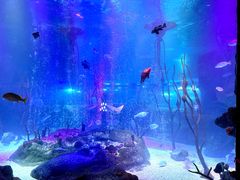 -沈阳海洋探索中心