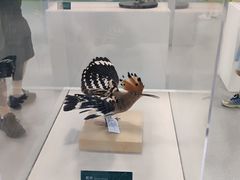 -陕西科学技术馆
