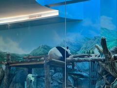 -武汉动物园