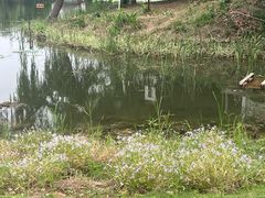 -武汉园博园(武汉自然博物馆)