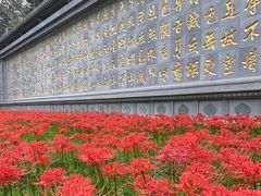 -西安大兴善寺