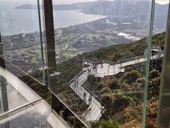 -三亚亚龙湾人间天堂鸟巢度假村