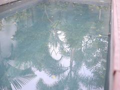 -候鸟水榕庄度假酒店
