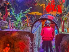 -沈阳海洋探索中心