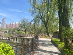 -迎泽公园