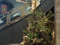 -老傅家湘潭水煮活鱼店(众一国际店)