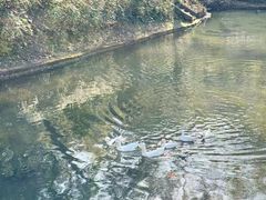 -南山风景名胜区