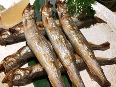 -酒井酱子·深夜食堂(东城汇店)