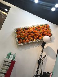 -和良形象