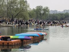 -大兴滨河森林公园