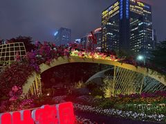 -海心沙亚运公园