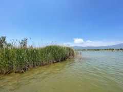 -野鸭湖国家湿地公园