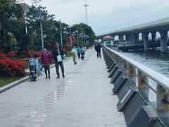 -演武大桥观景平台