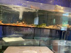 -万鱼亭 日本料理(无锡香山名园店)