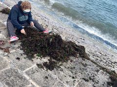 -九龙餐厅(大沽路店)