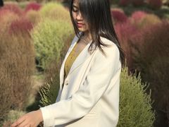 -花开海上生态园