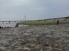 -南汇新城海滩