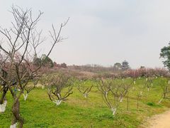 -上海海湾国家森林公园