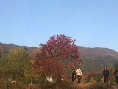 -塔川景区