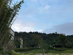 -中华门黑皮砂锅