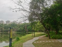 -东莞植物园
