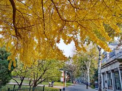 -北京动物园-畅观楼