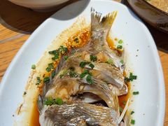 -金海湾海鲜排档(朱家尖店)