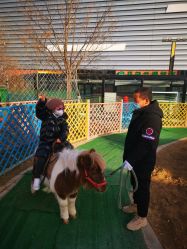 -萌宠亲子动物乐园(槐房万达店)