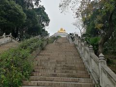 -苏州上方山国家森林公园
