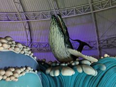 -烟台海昌鲸鲨海洋公园