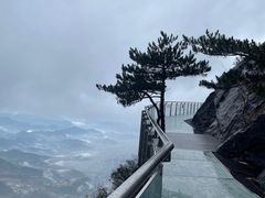 -萍乡武功山风景名胜区