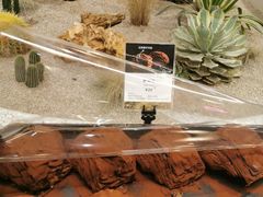 -OUR Bakery(SKP-S店)