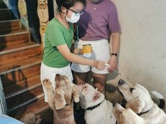 -萌喵咖啡屋(人民东路4号口M16商铺店)