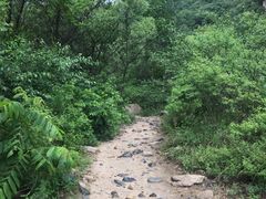 -碓臼峪自然风景区