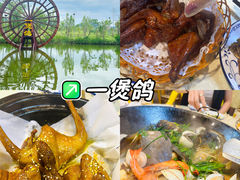 -一煲鸽