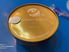 -德禄酸奶(莫家街店)