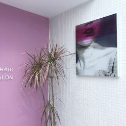 点击看大图 -SWANK SALON