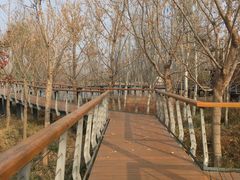-东郊湿地公园