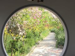 -南汇桃花村