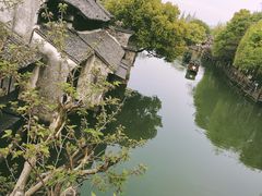 -乌镇西栅景区
