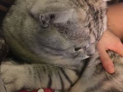 -Doors独立剧情密室(东门分店)