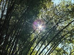 -广悦华阳朔河畔度假酒店(十里画廊遇龙河店)