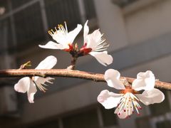-天津市育贤中学
