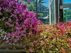 -国家植物园南园