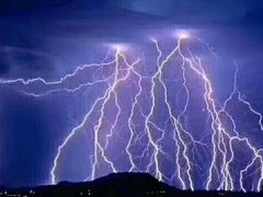 -猫咪博物馆(顶澳仔猫街店)