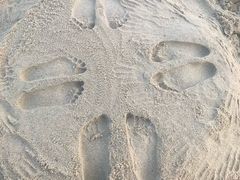 -玫瑰海岸文化旅游度假区