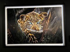 -罗红摄影艺术馆