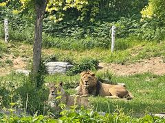 -北京野生动物园